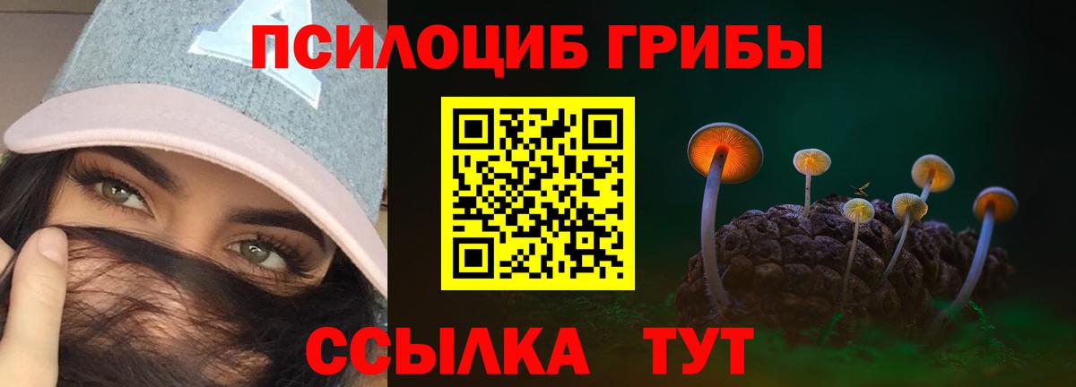 Галлюциногенные грибы ЛСД  Вход с VPN  Малгобек 